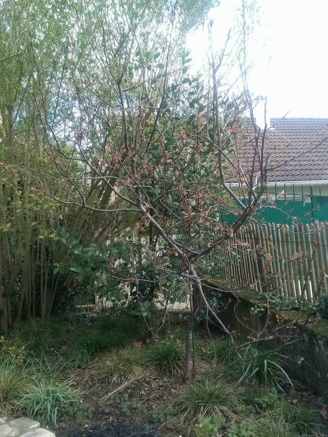 Annexe 30074520_1999626630107837_1850335884_o.jpg