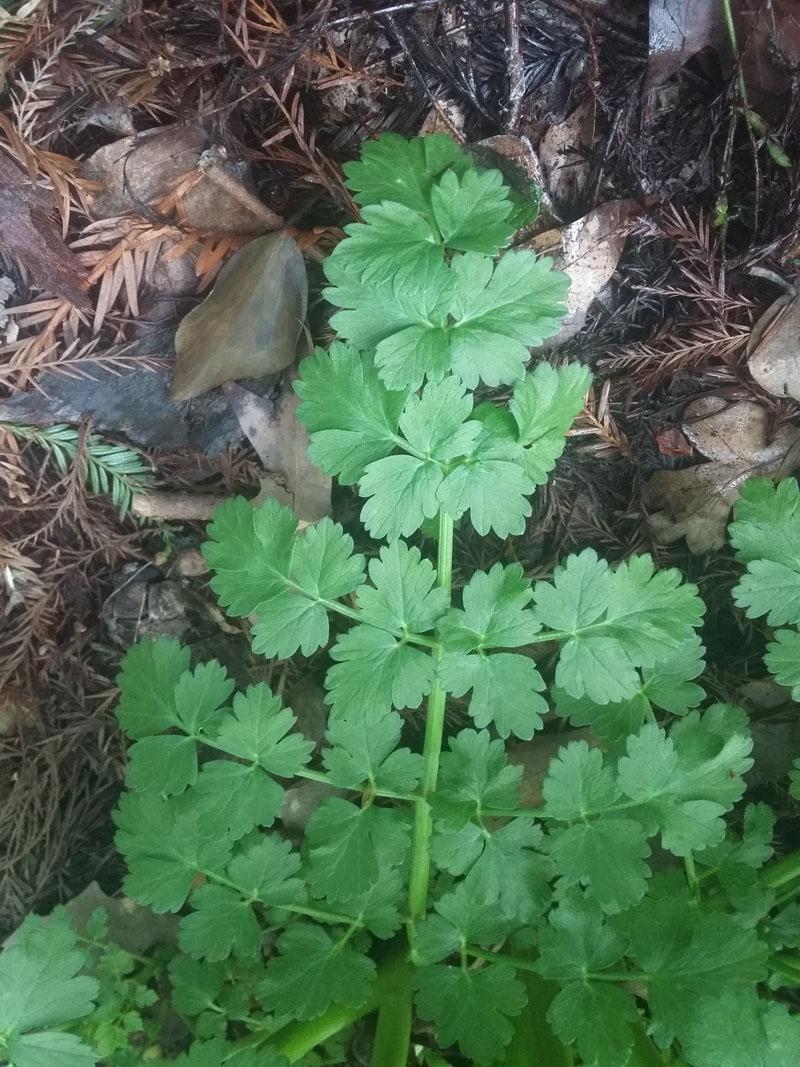 Annexe 20180403_193745.jpg