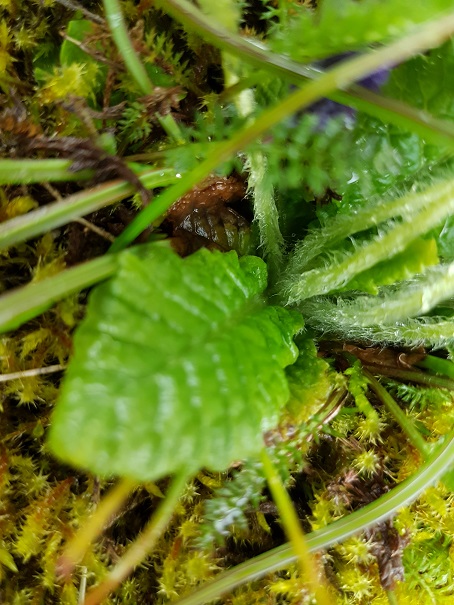 Annexe 20180401_122247.jpg