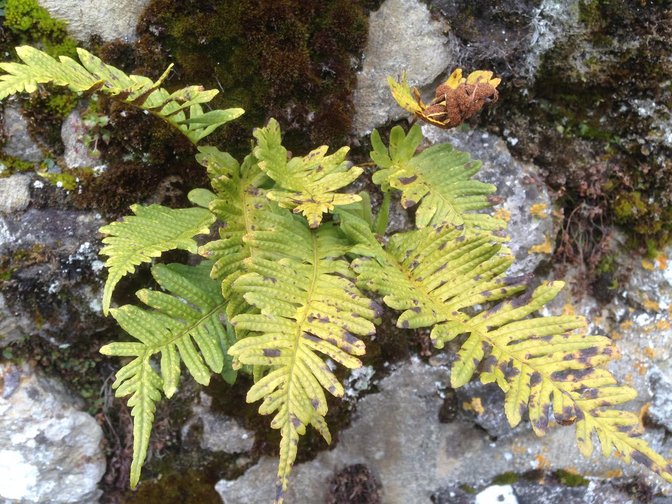 Annexe unnamed-1.jpg