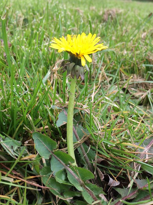 Annexe 2018-04-02 16.47.41_resultat.jpg