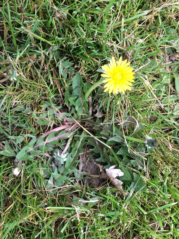 Annexe 2018-04-02 16.48.14_resultat.jpg