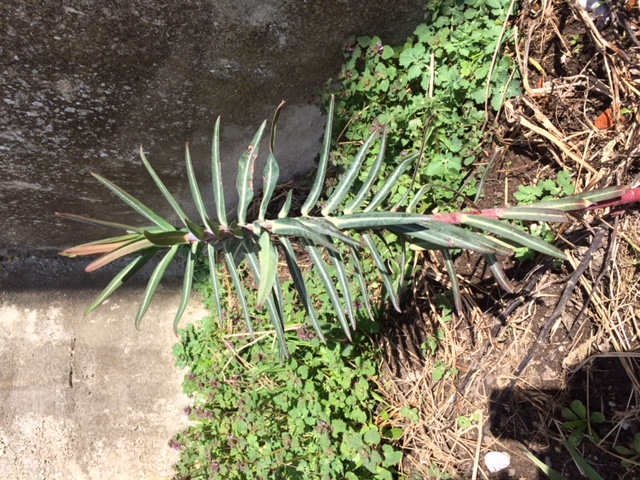 Annexe 4D06501D-24D6-4DC1-BEC1-64EC6B3D3410.jpeg