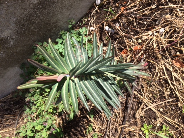 Annexe E732ACA9-33F0-45BF-8D9A-B6B588C266F9.jpeg