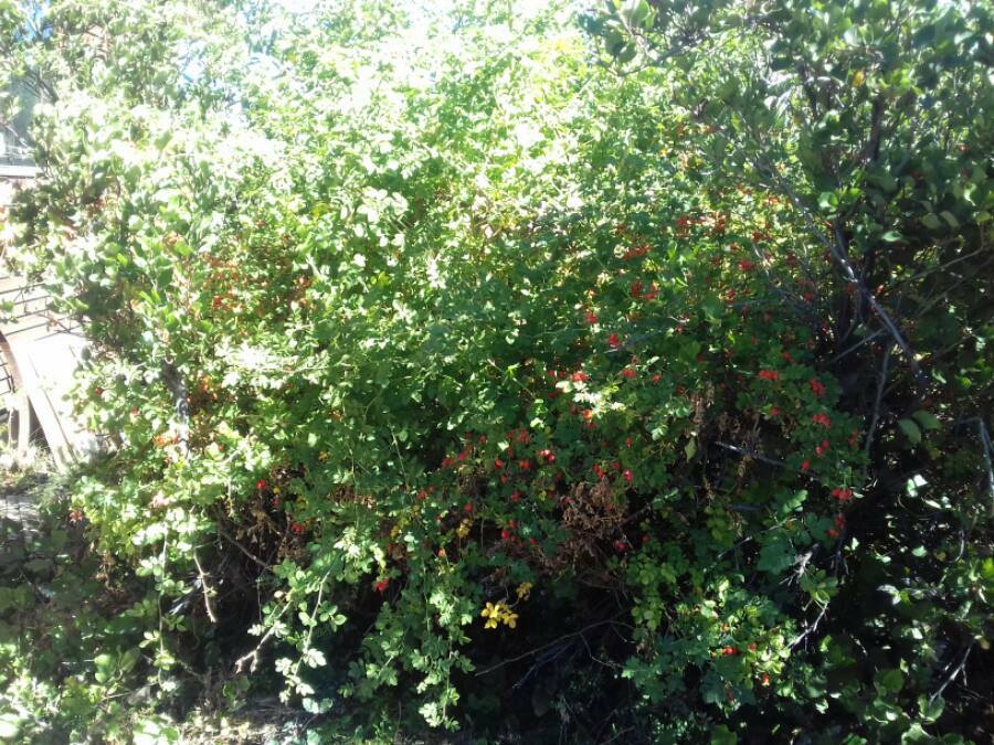 Annexe 29694523_10215525562429302_424941308811993194_n.jpg