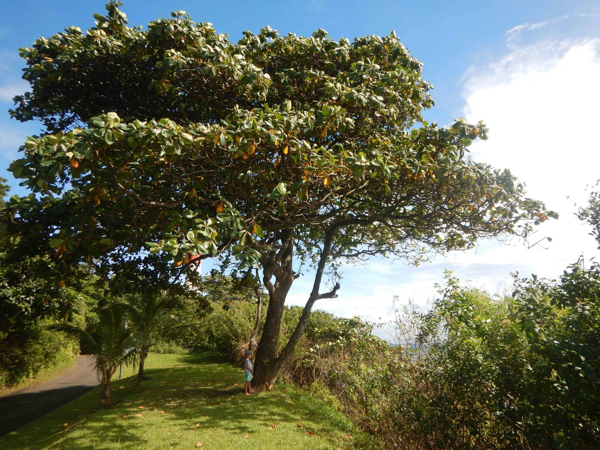 Annexe DSCN7410bis.jpg