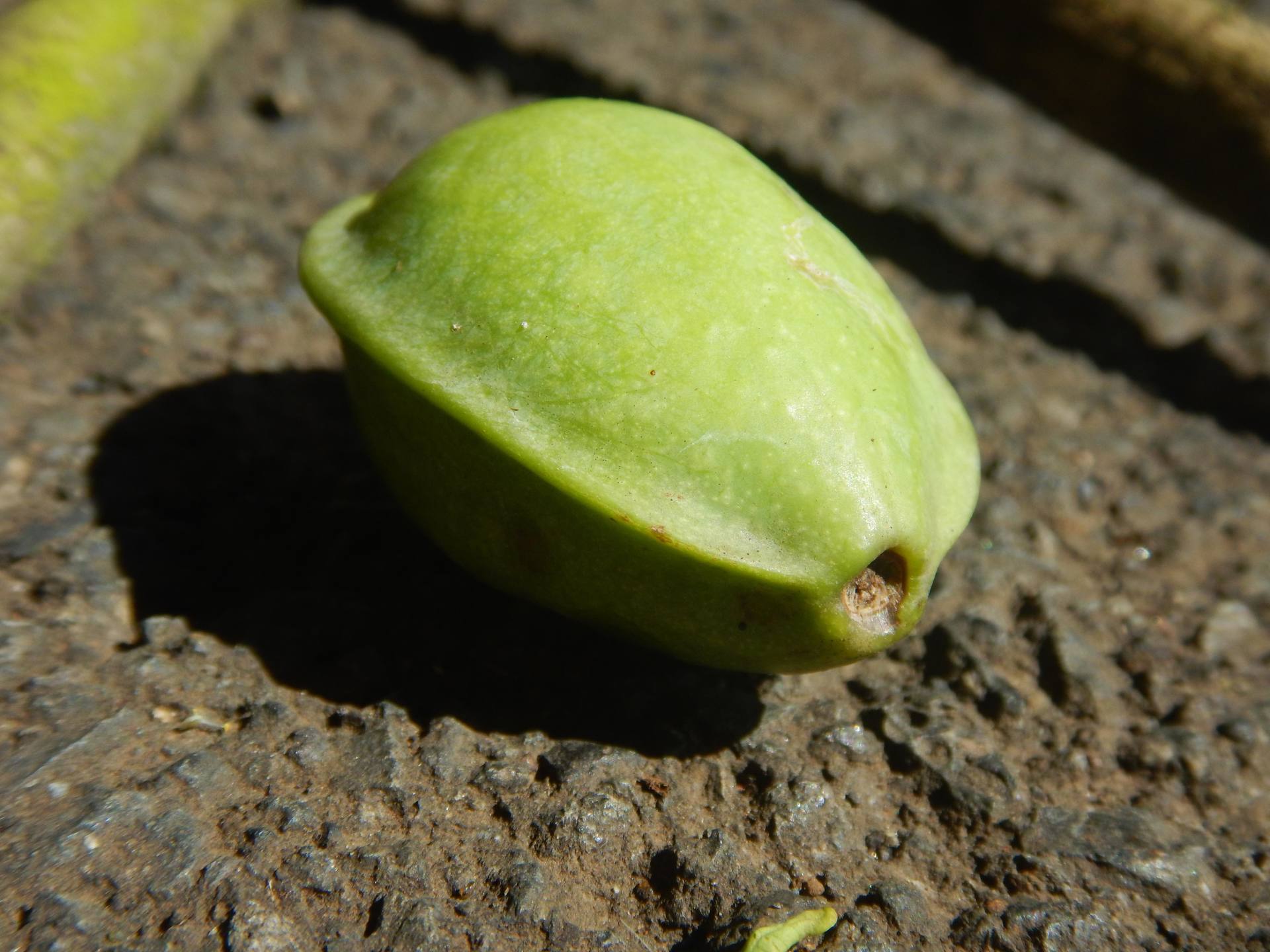 Annexe DSCN7430bis.jpg