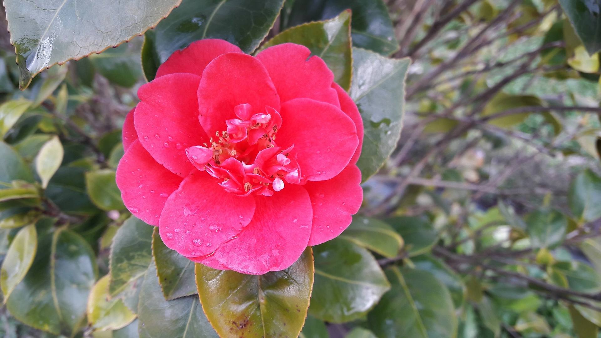 Annexe 20180328_190337.jpg