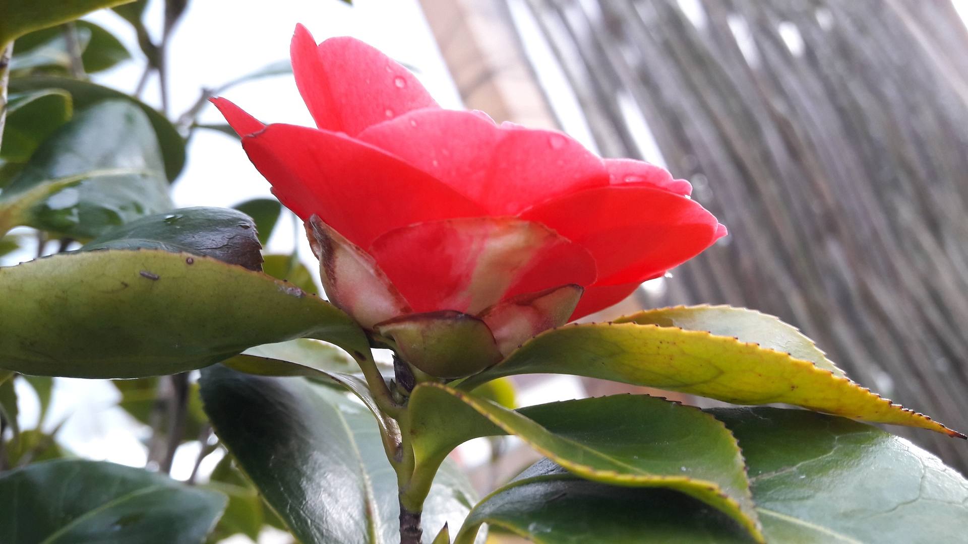 Annexe 20180328_190353.jpg