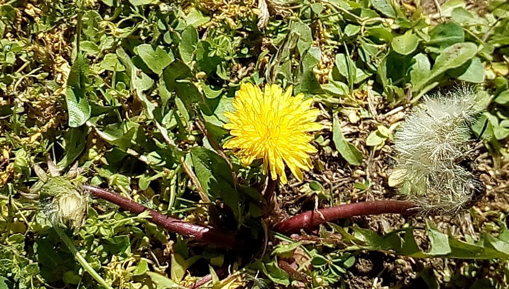 Annexe IMG_20180405_125126.jpg