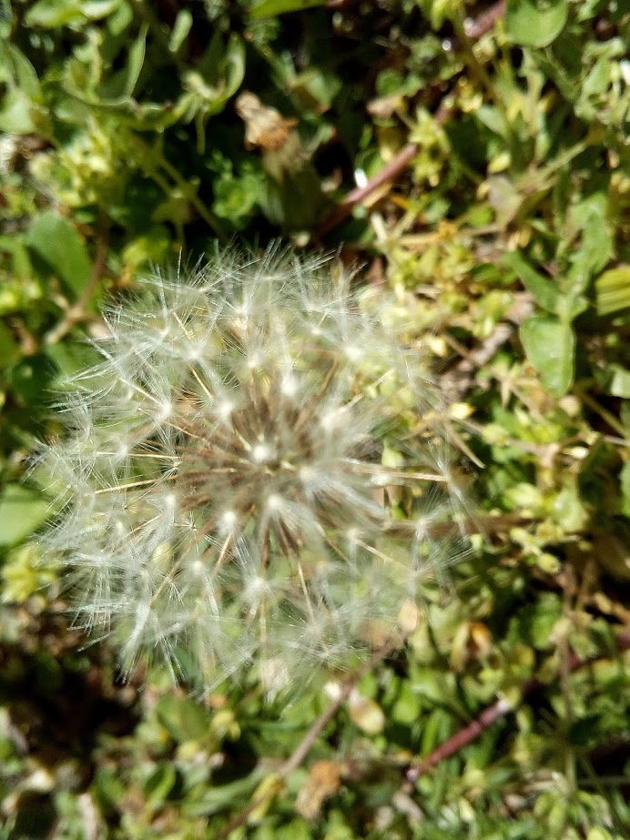 Annexe IMG_20180405_130013.jpg