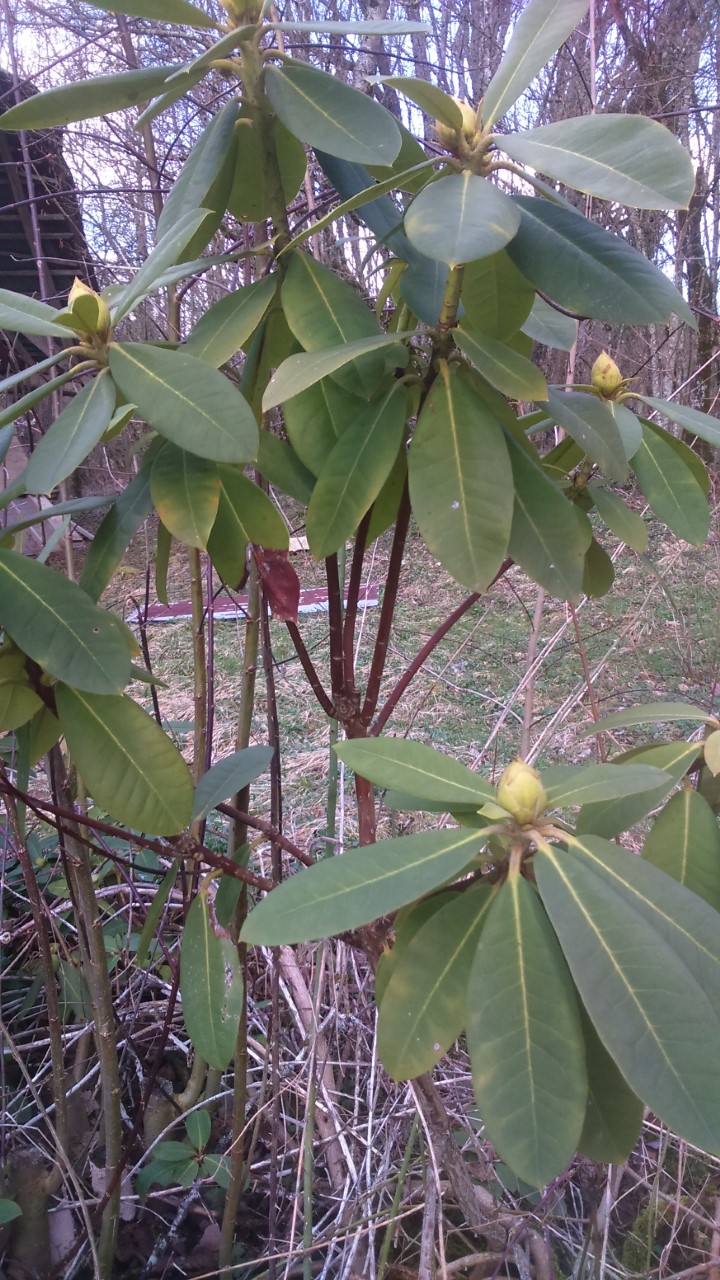 Annexe thumbnail_DSC_0014_3.jpg