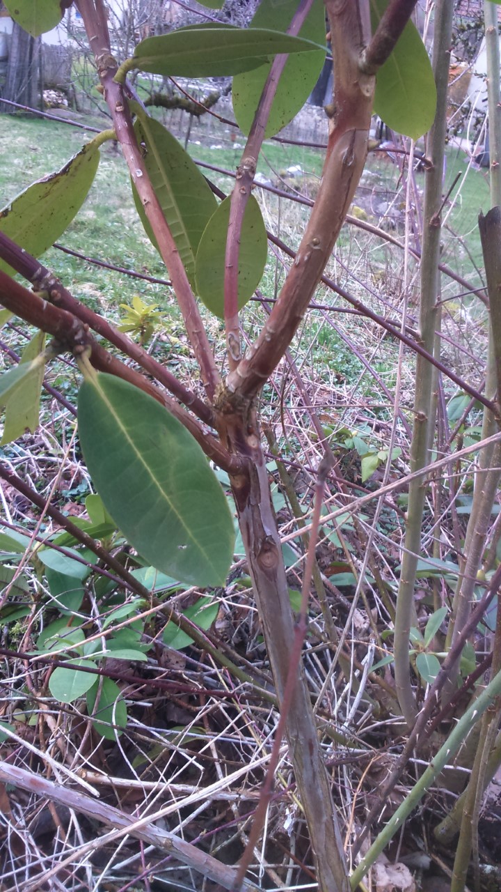 Annexe thumbnail_DSC_0015_3.jpg