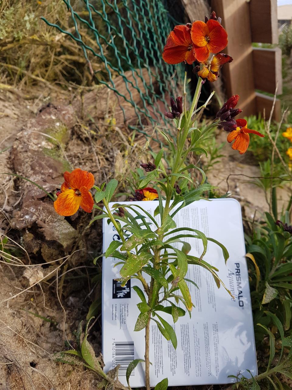 Annexe 20180405_185407.jpg