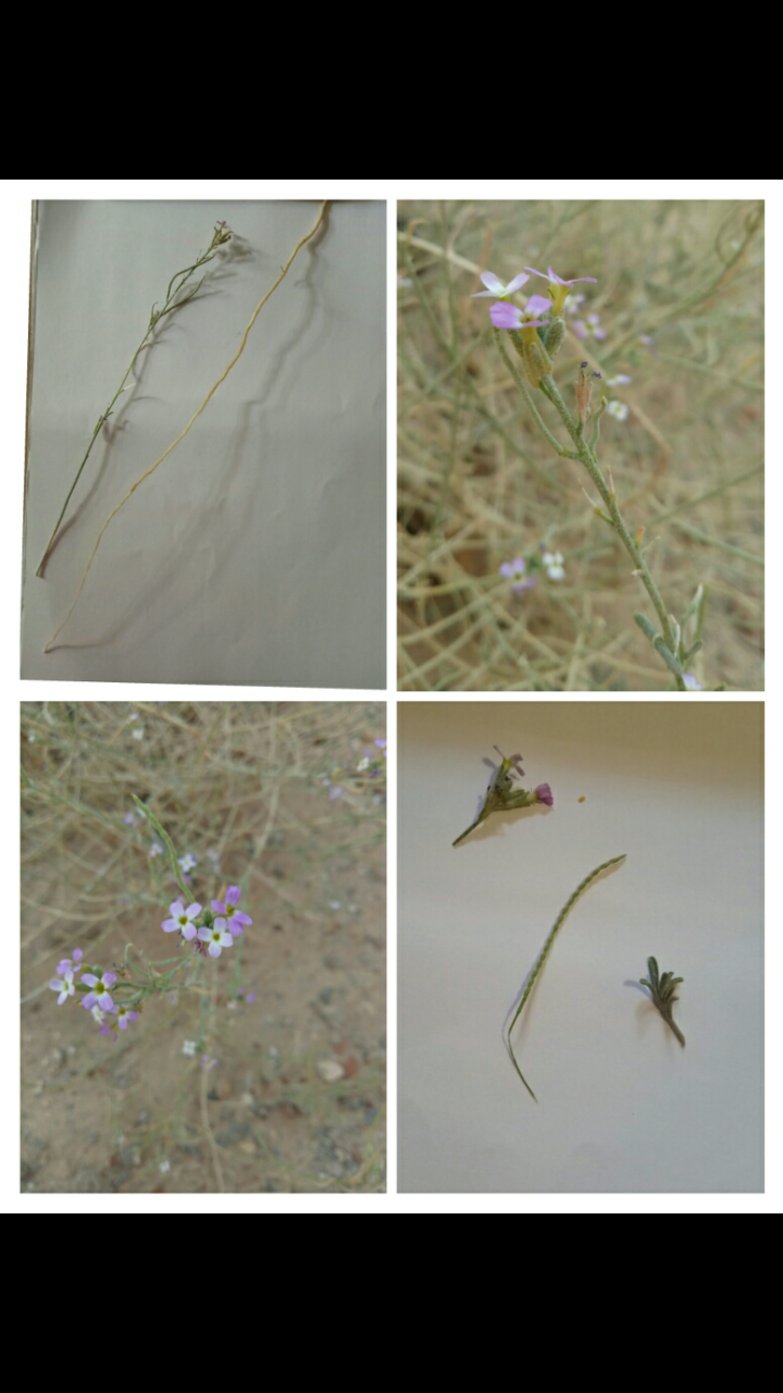 Annexe Screenshot_2018-04-05-22-40-34-48.png