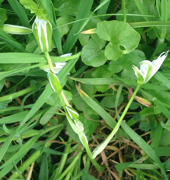 Annexe dame 11h a.jpg