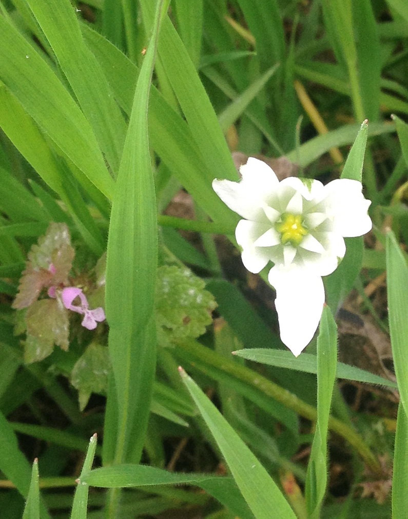 Annexe dame 11h b.jpg