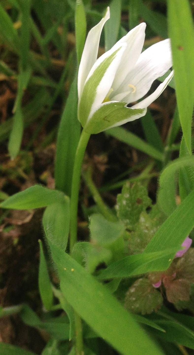 Annexe dame 11h c.jpg