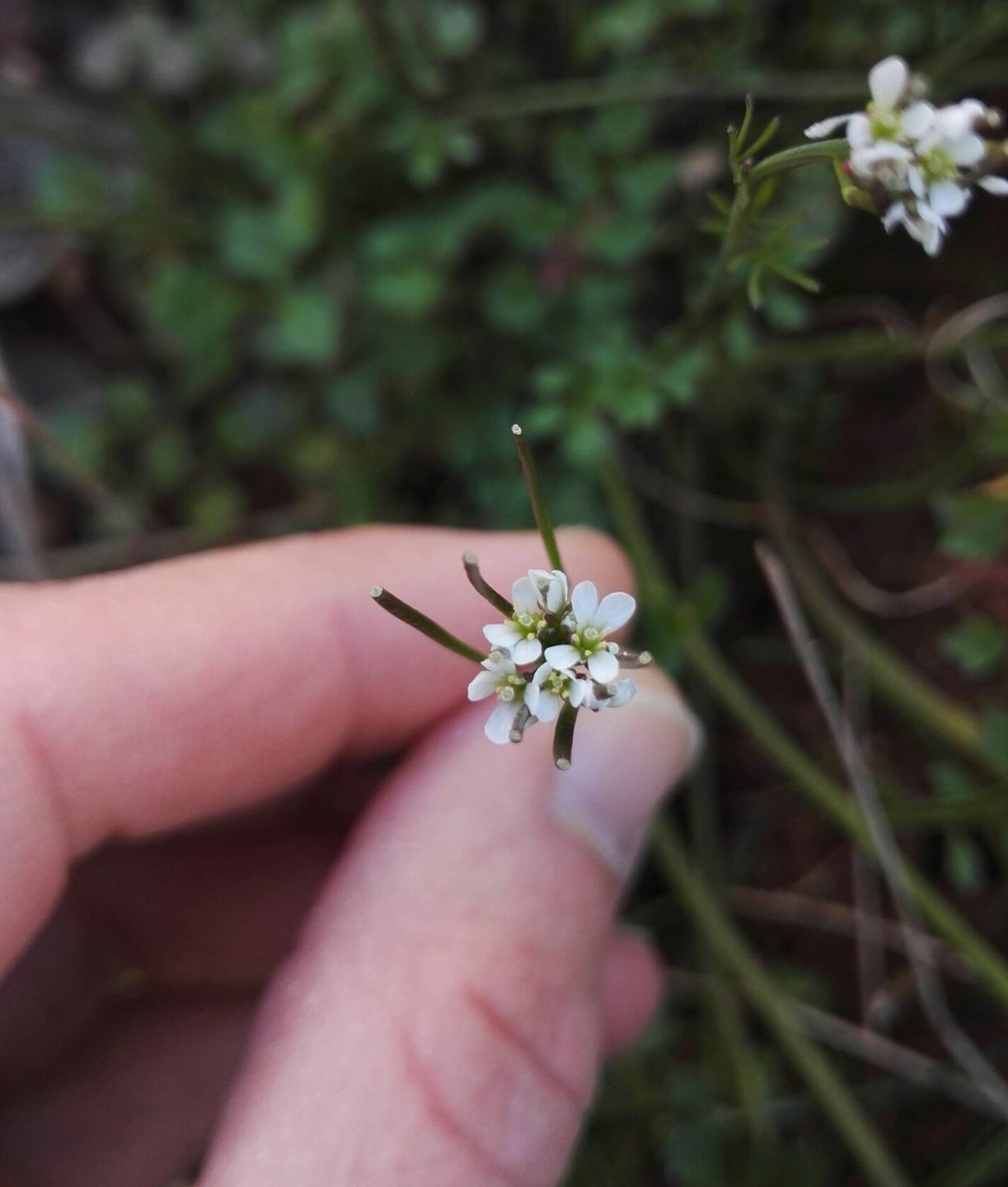 Annexe IMG_20180408_005438.jpg