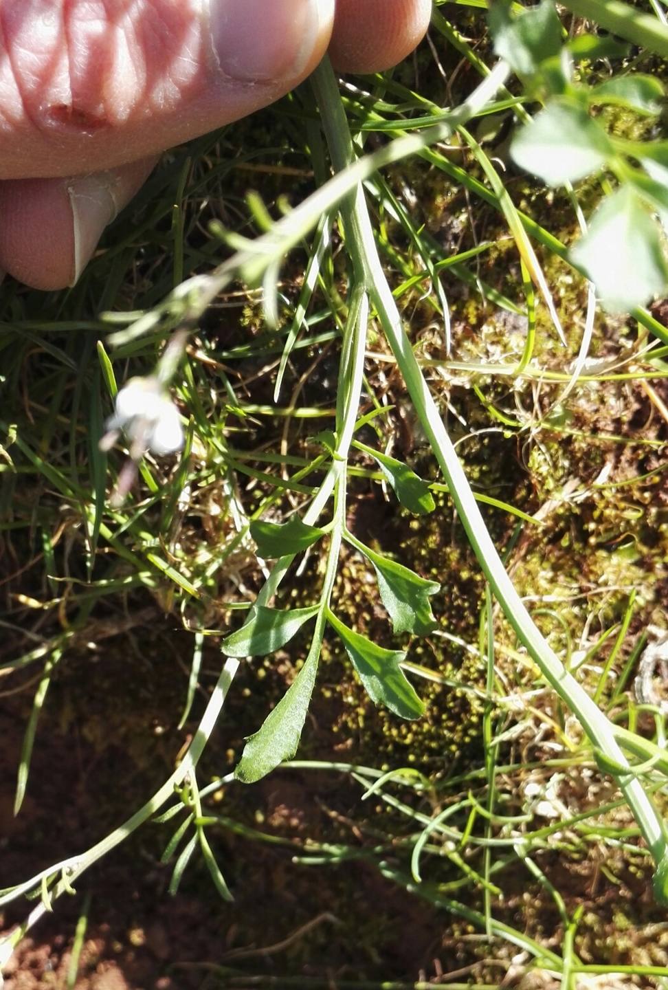 Annexe IMG_20180408_005616.jpg