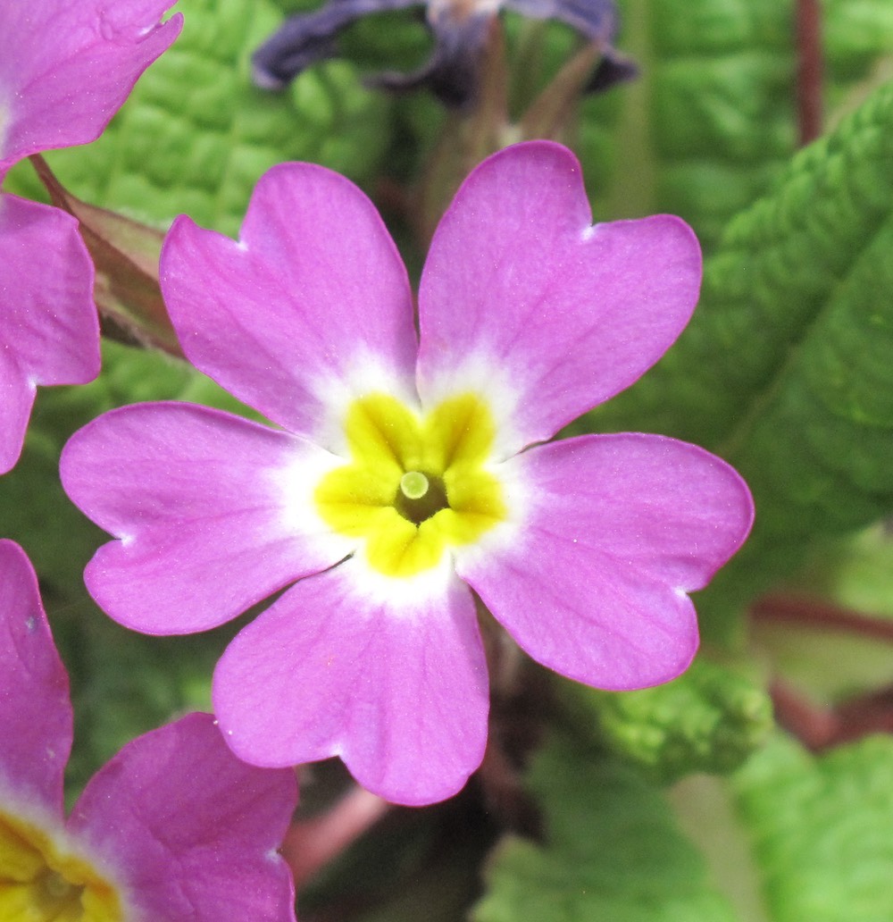 Annexe IM-03 Prim-cp.jpg