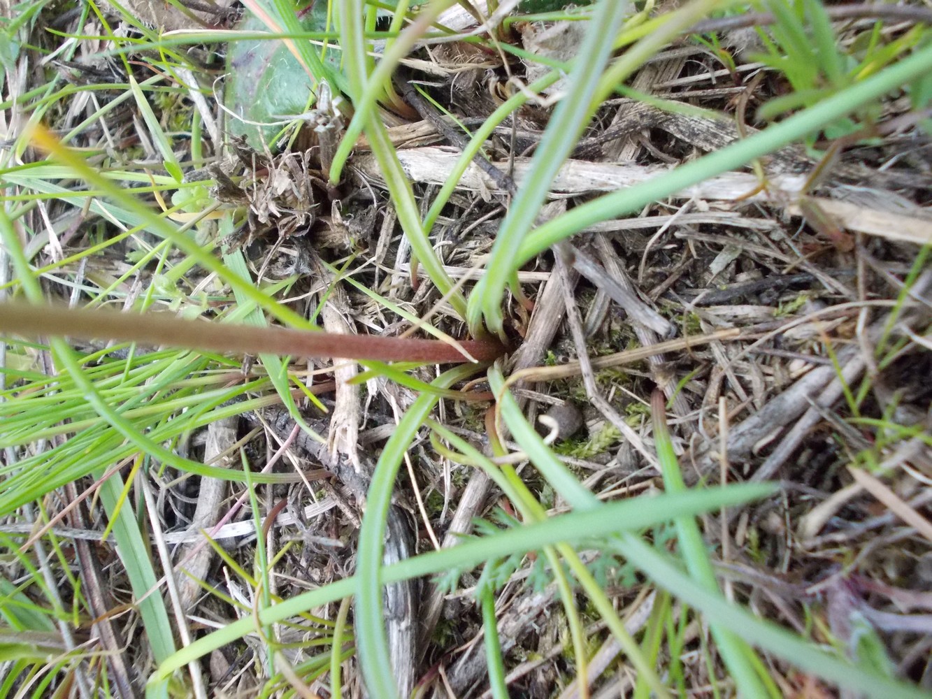 Annexe inconnu1-base.JPG