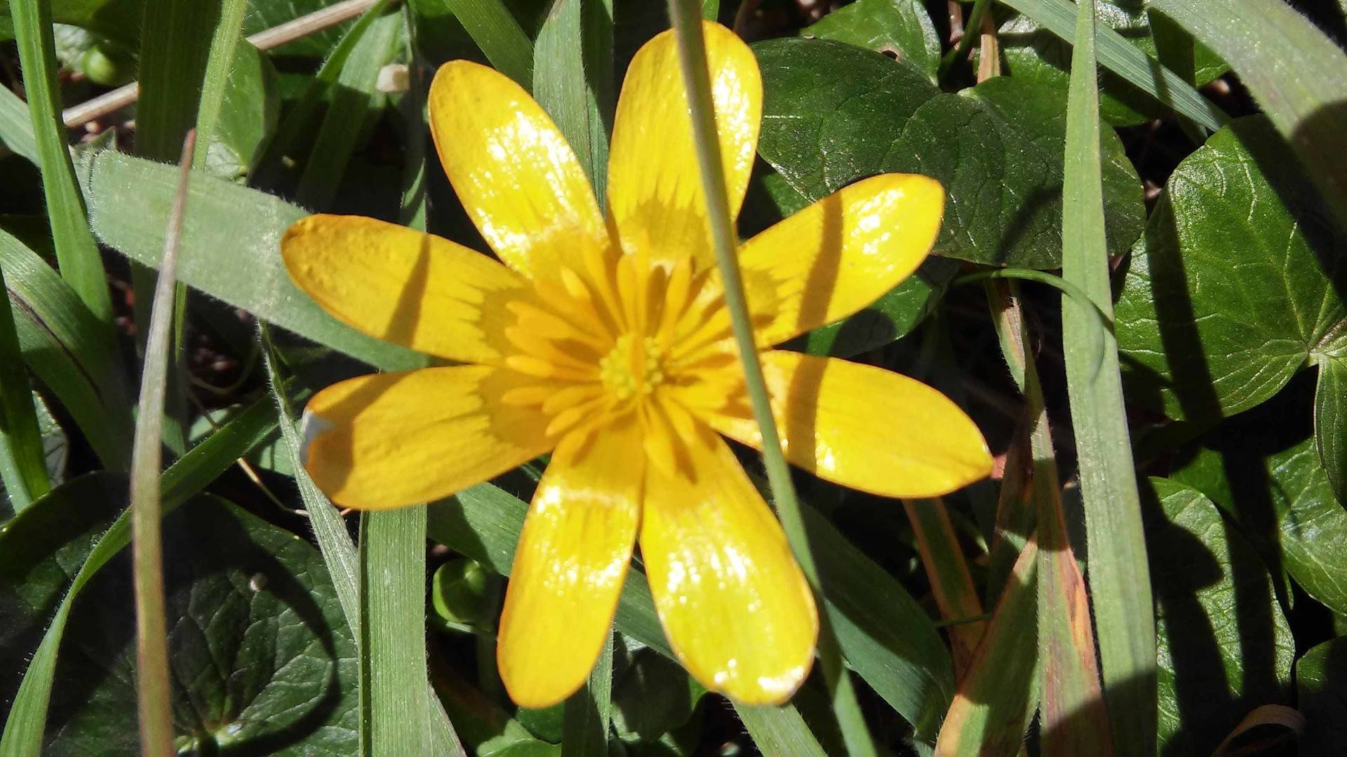 Annexe 20180328_134151_HDR.jpg