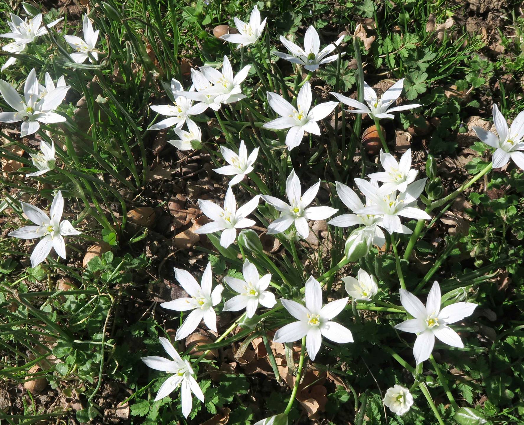 Annexe IMG_5579_a_w.jpg