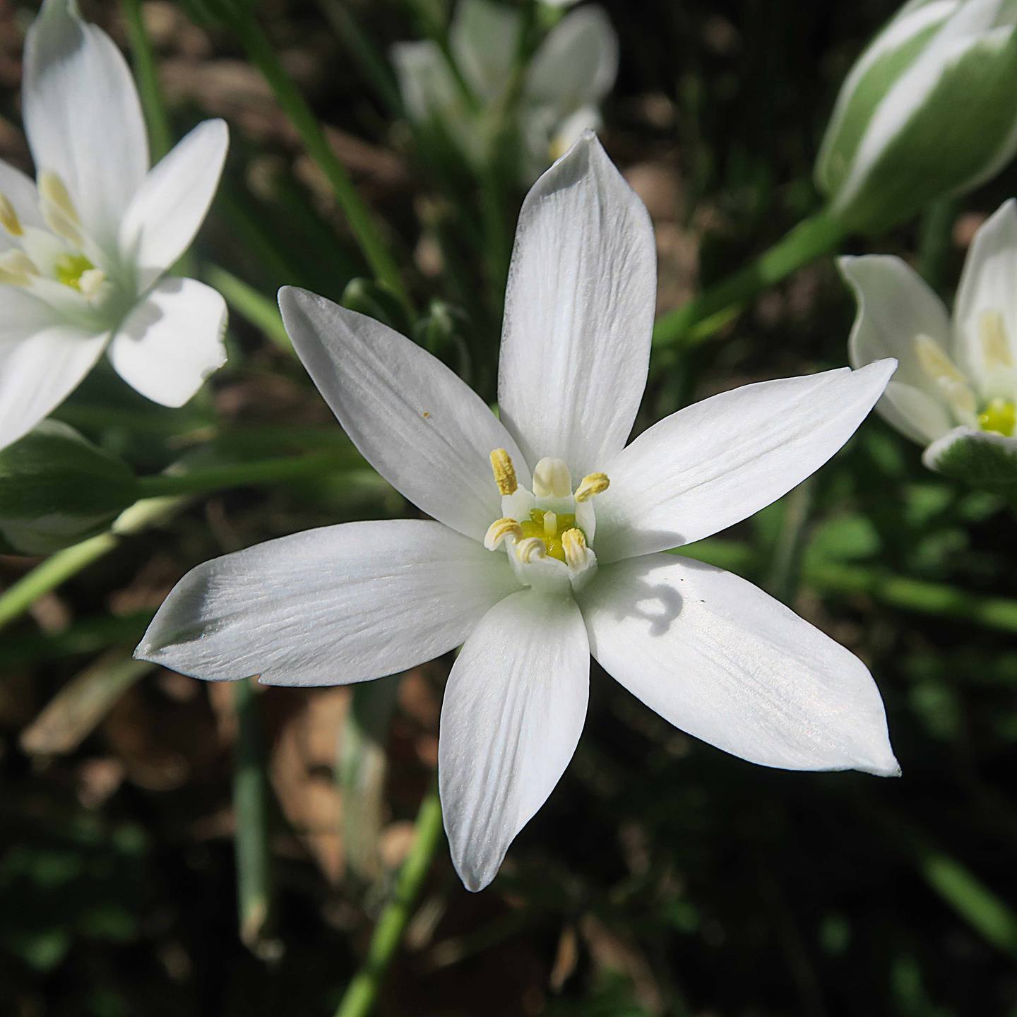 Annexe IMG_5583_w.jpg