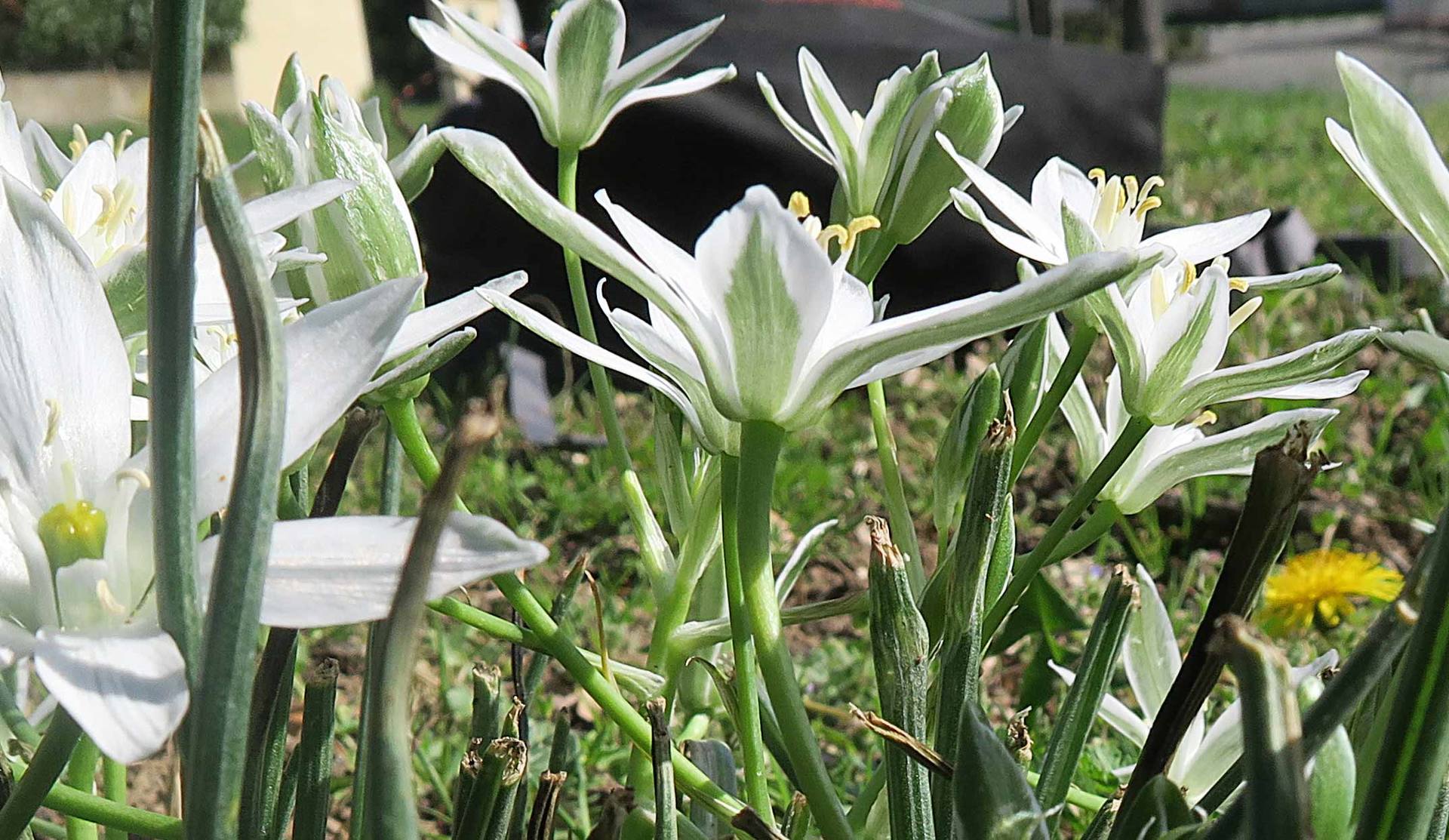 Annexe IMG_5589_a_w.jpg