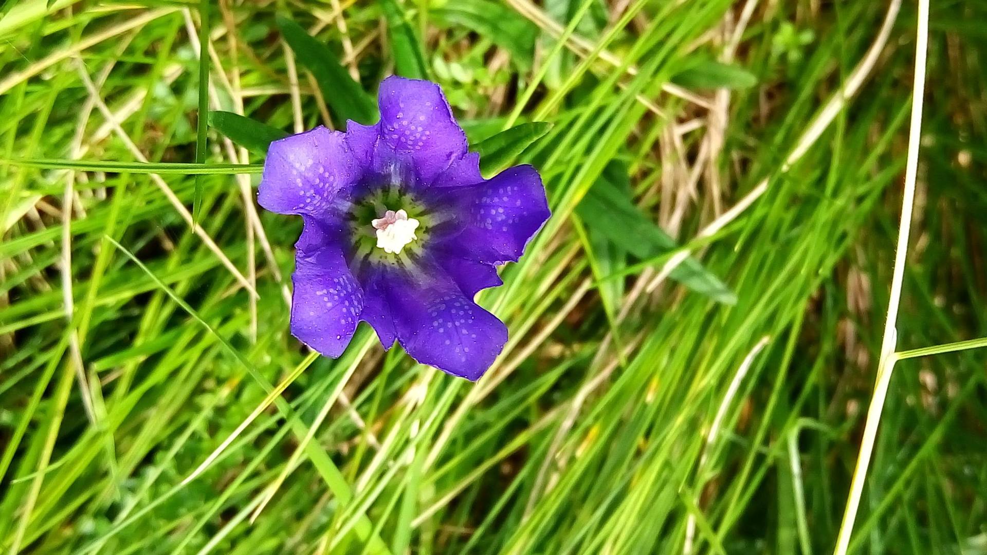 Annexe P_20170726_145512.jpg