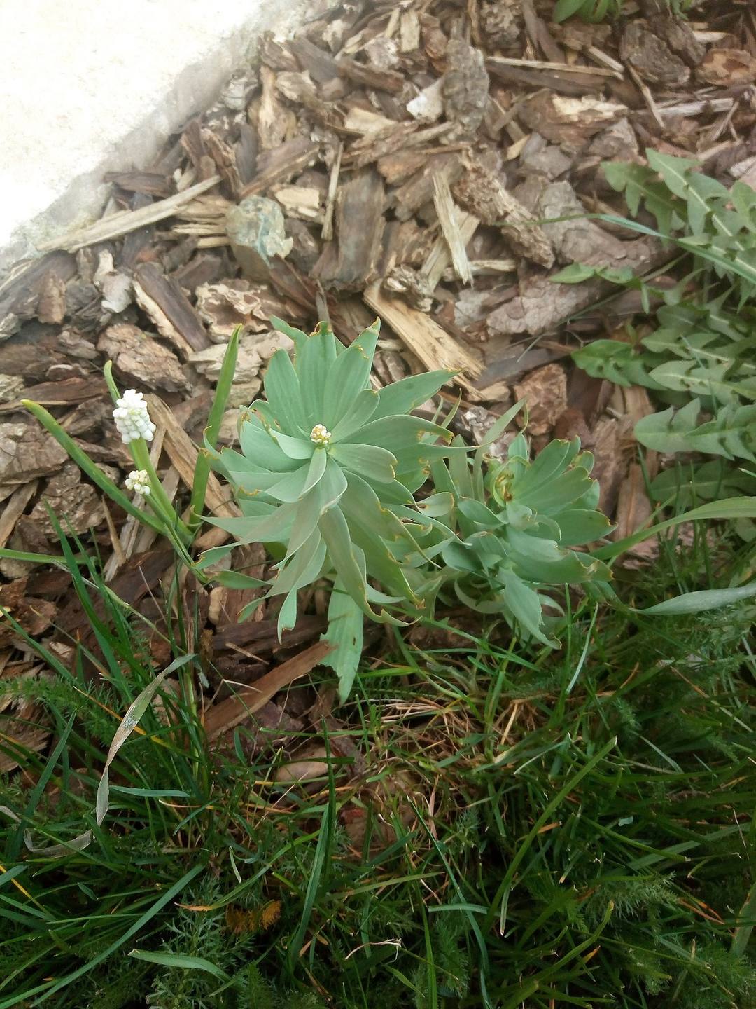 Annexe IMG_20180409_175118.jpg