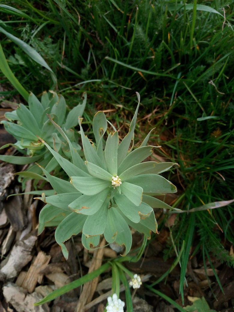 Annexe IMG_20180409_175150.jpg