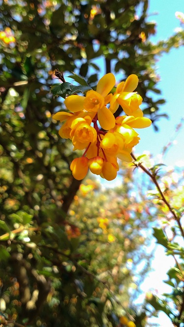 Annexe P_20180331_160049_vHDR_Auto-2.JPG