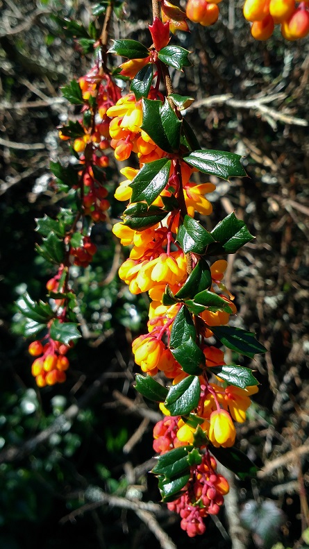 Annexe P_20180331_160109_vHDR_Auto-2.JPG