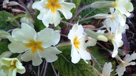 Annexe 20180403_192322.jpg