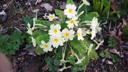 Annexe 20180403_192330.jpg