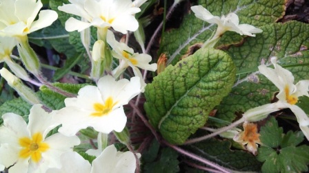 Annexe 20180403_192342.jpg