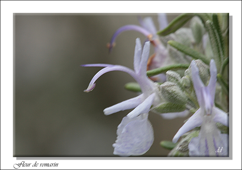 Annexe IMG_6170-2.JPG