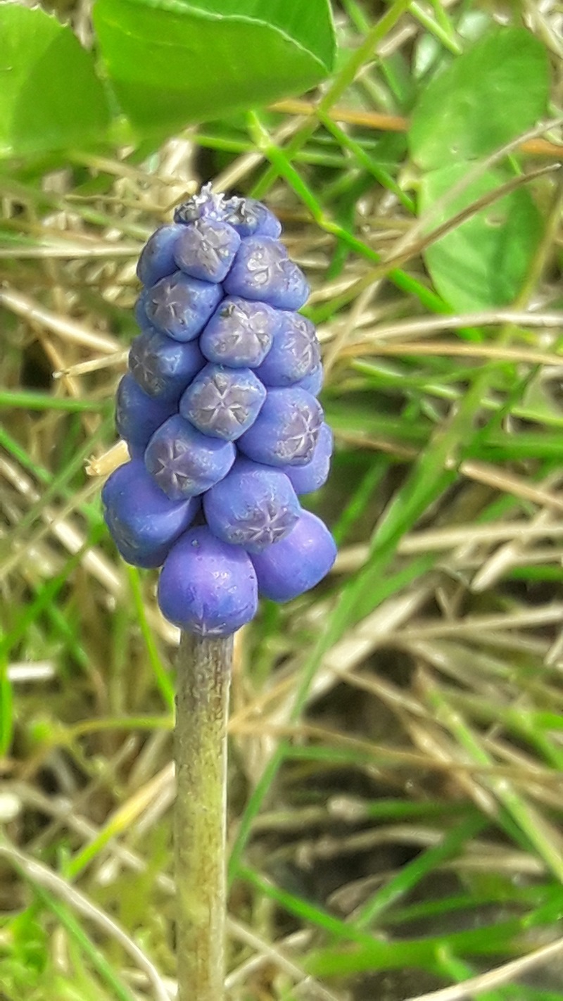 Annexe 20180414_152626.jpg