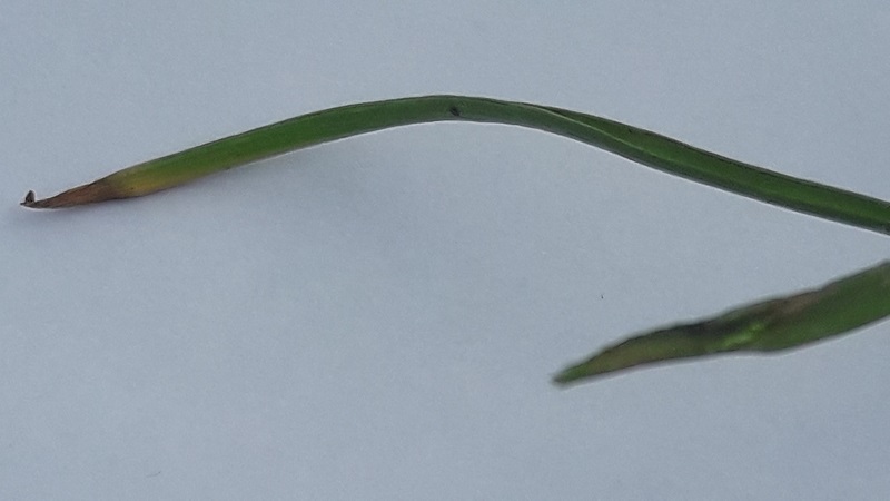 Annexe 20180414_152736.jpg