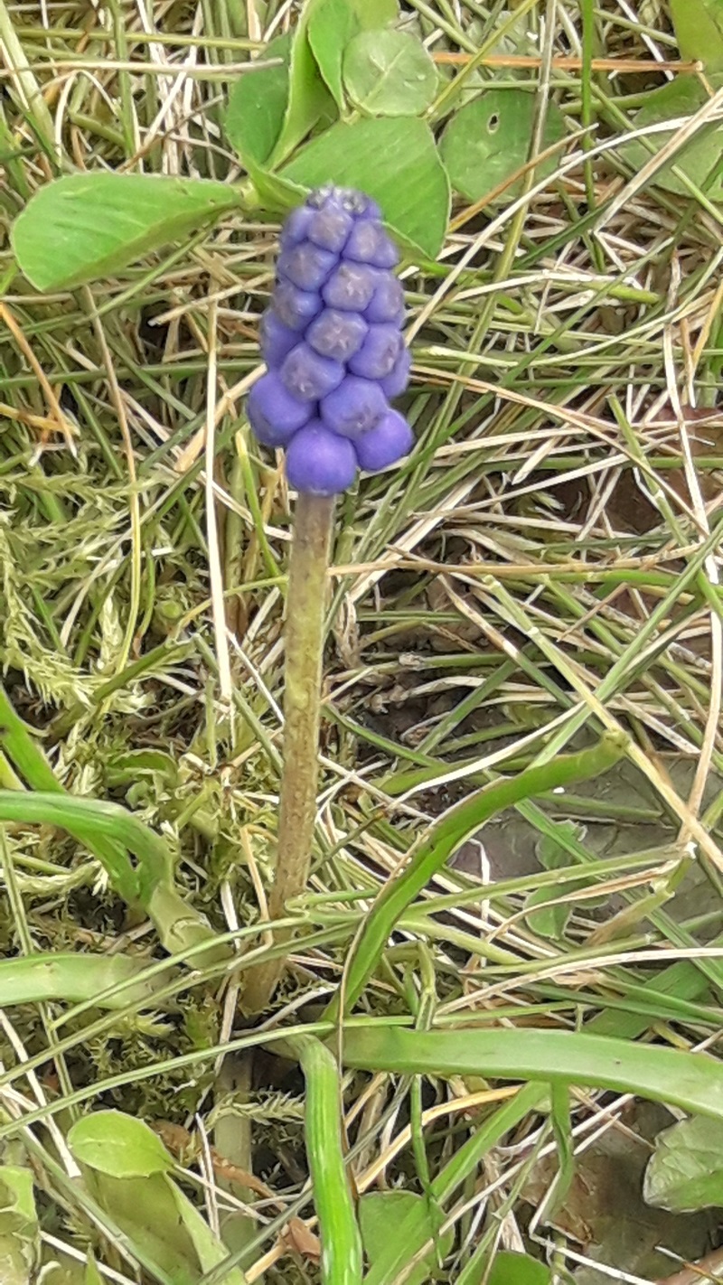 Annexe 20180414_152750.jpg