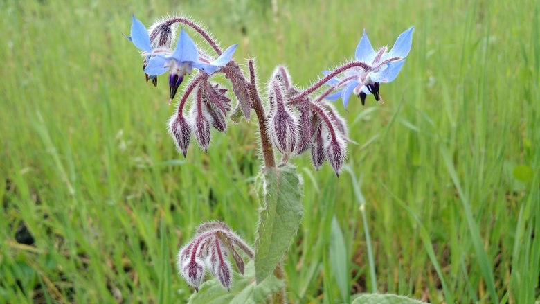 Annexe IMG_20180416_195356023.jpg