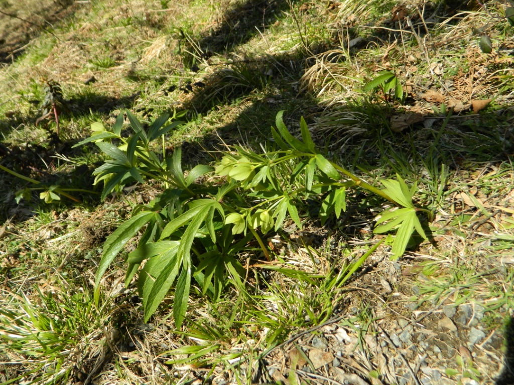 Annexe thumb_DSCN3273_1024.jpg