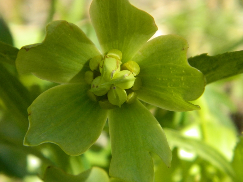 Annexe thumb_DSCN3276_1024.jpg