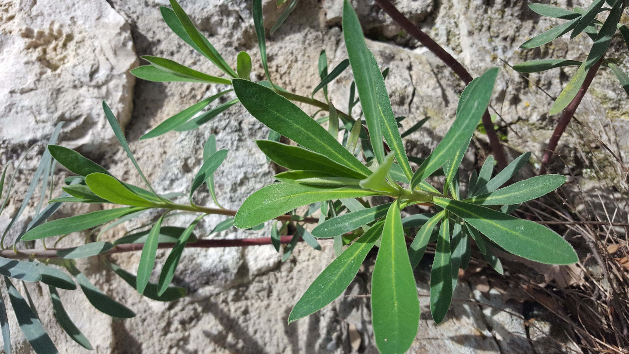 Annexe _20180416_115618.jpg