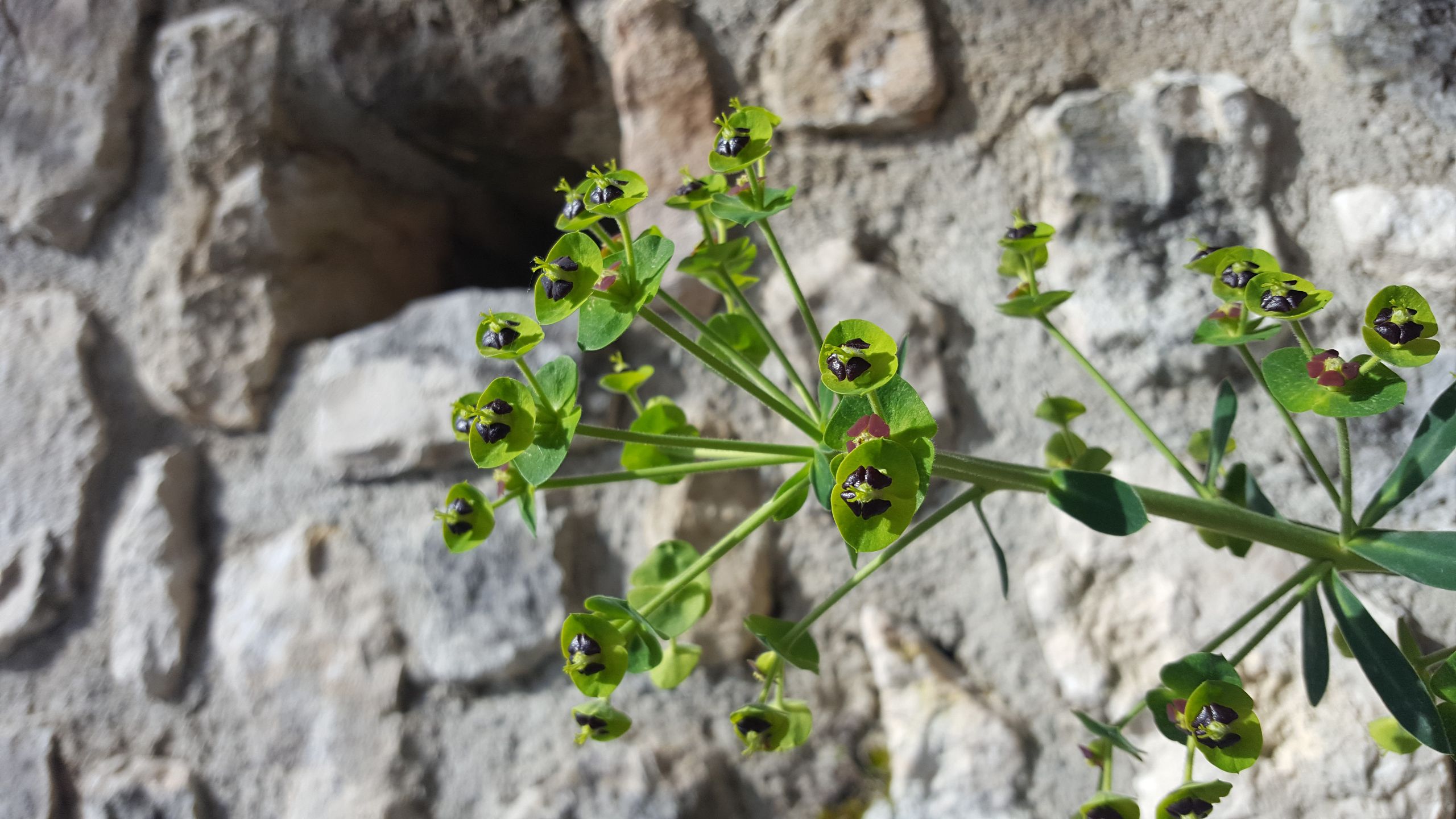 Annexe _20180416_115705.jpg