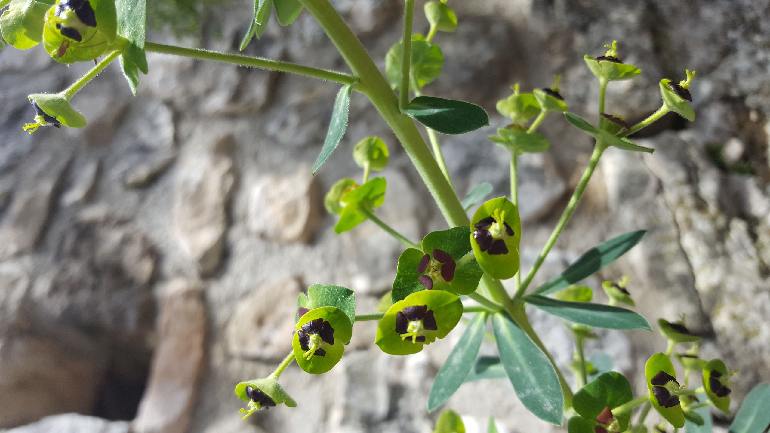 Annexe _20180416_115808_001.jpg