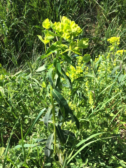 Annexe #1 [ensemble]