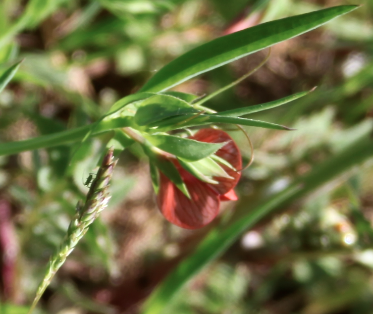 Annexe Capture d’écran 2018-04-20 à 18.37.44.png